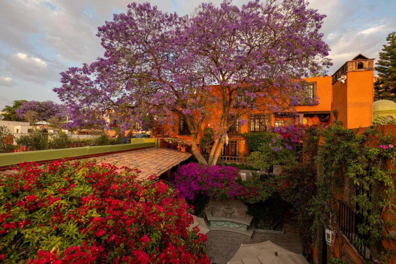 Casa Schuck Boutique Hotel San Miguel de Allende Exterior photo
